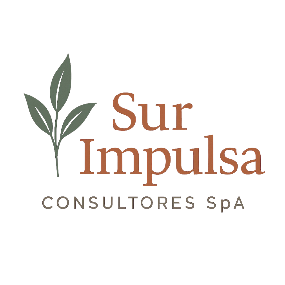 Aula Sur Impulsa